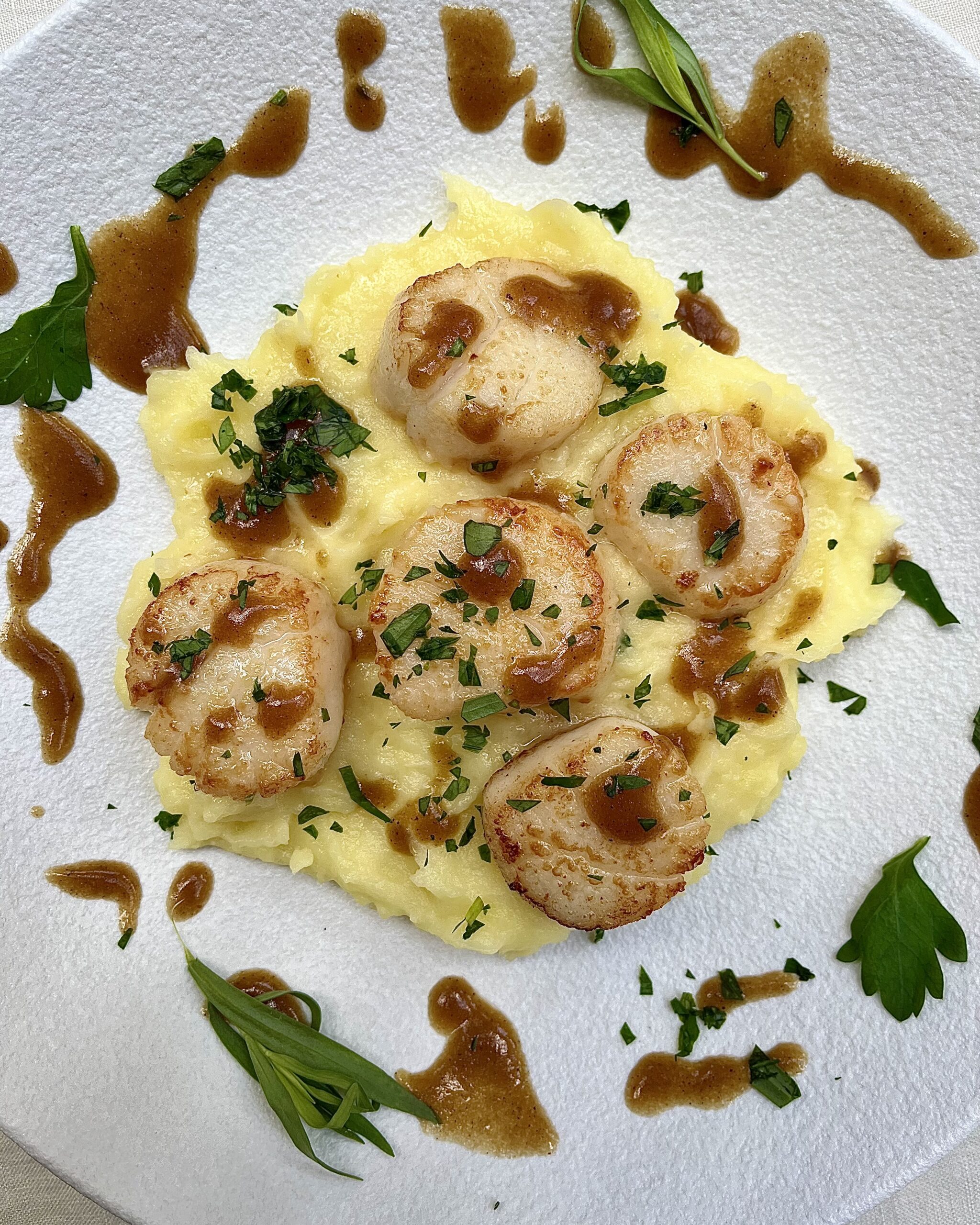 Golden seared scallops over mashed potatoes with browm muchroom sauce and fresh herbs