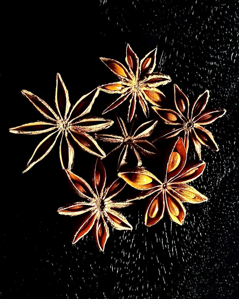 Whole pods of star anise with woody carpels and glossy seeds against a black background reminiscent of starry sky