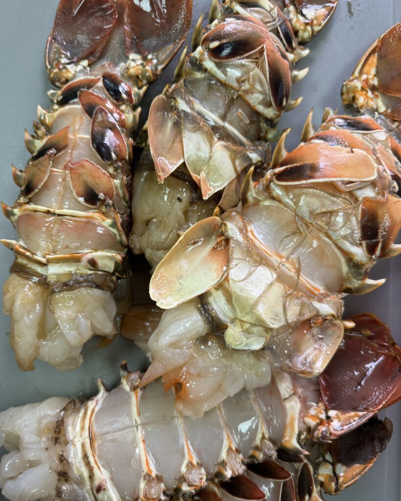 lobster tails with shells on