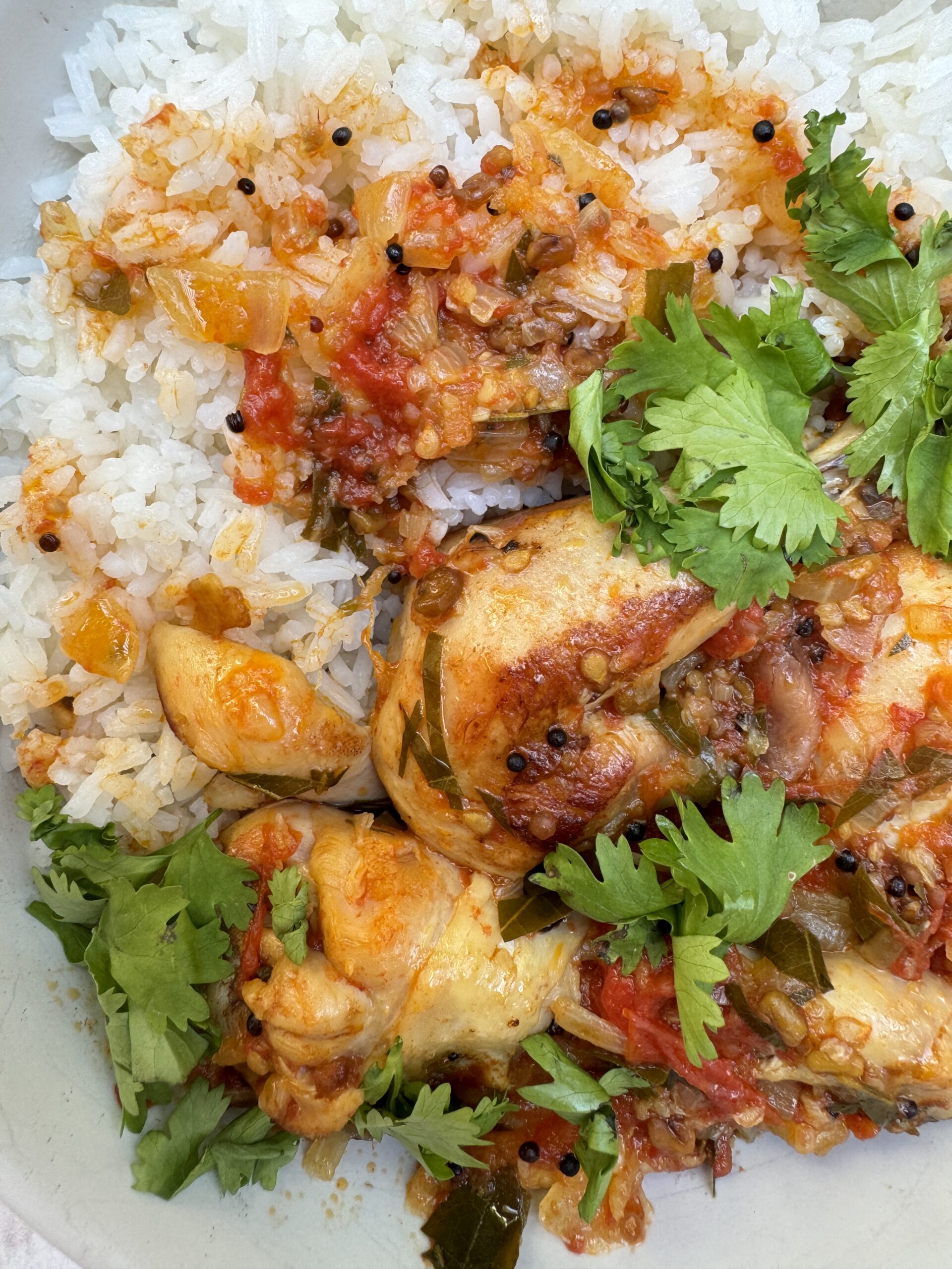 Chicken drumsticks in a tomato based sauce with black and yellow mustard seeds and fresh coriander leaves served over white rice