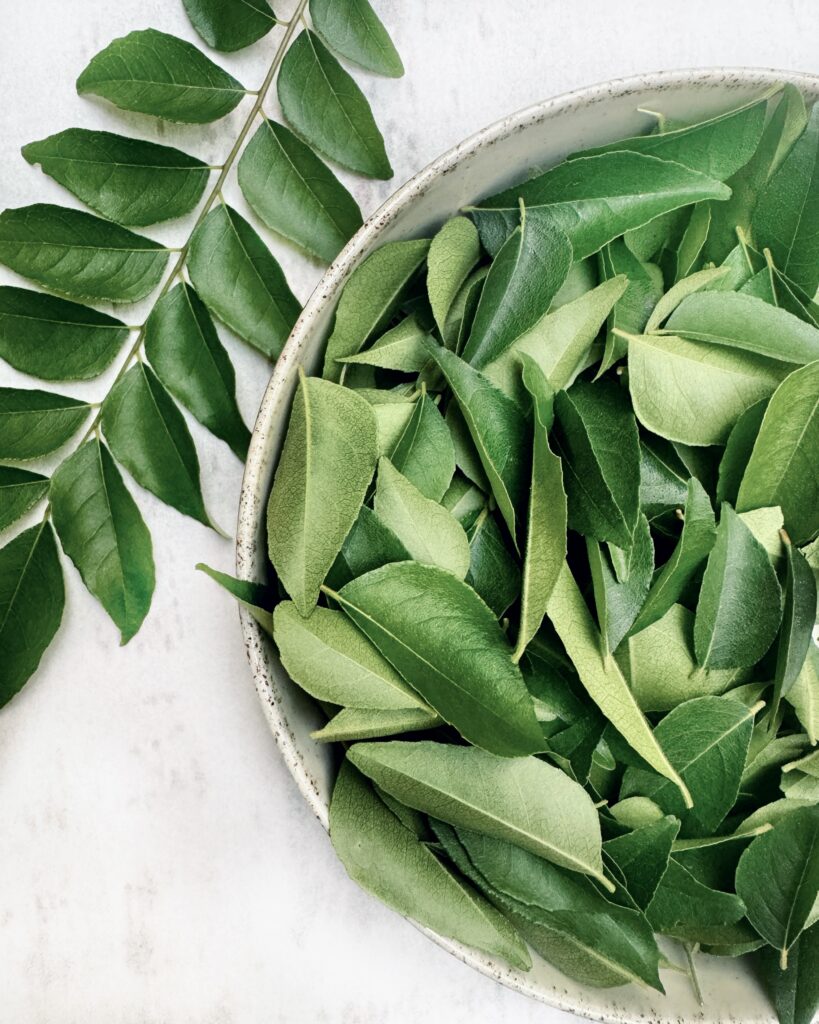 A bowl with picked curry leaves with a whole sprig next to it agaist a white background