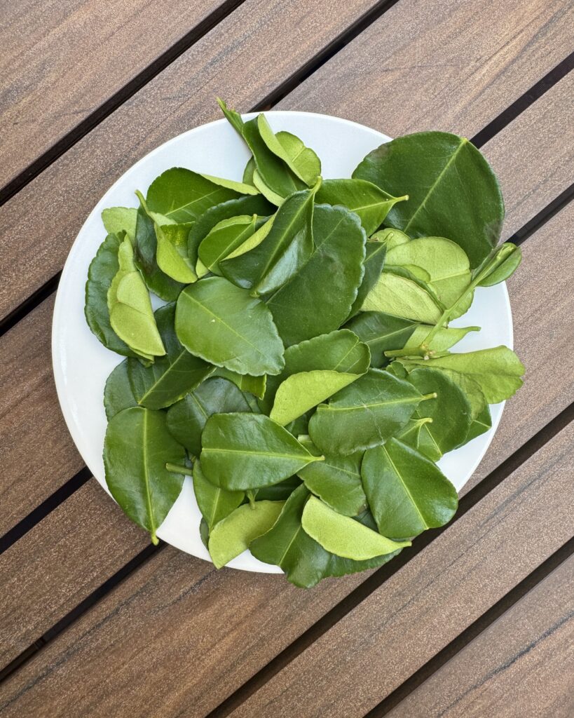 A plate with fresh makrut lime leaves